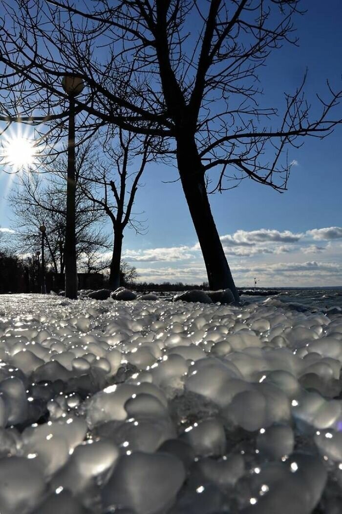 Foto gump do dia: O lago das lâminas 98247f1808c57da99dbfa7759774c4db | Foto gump do dia | curiosidades, curioso, foto gump do dia, frio, gelo, inverno, lago, laminas, michigan