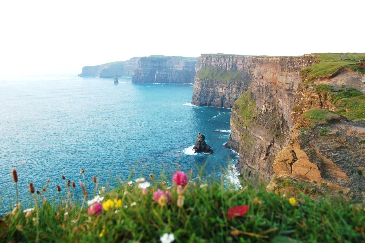 O penhasco de Moher cliffs of moher | Lugares | curioso, Irlanda, lugares