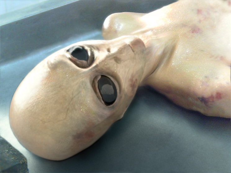 A treta do ET está de volta! Famosa ufóloga dos EUA ganha dinheiro me atacando em live cadaveraliennamesacorpodetalhe2 | Polêmica | bizarro, curioso, mundo gump, polêmica, relato de um mib