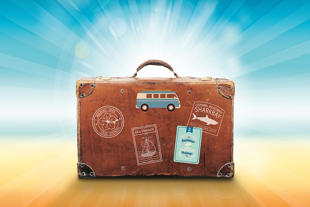 Vai viajar? Confira essas dicas para assegurar a sua casa antes de partir luggage g37dece78a 640 | Dicas | dicas, Viagem