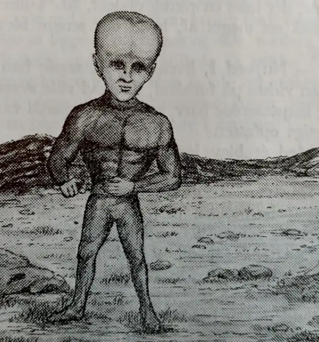 O dia em que um lenhador ajudou um alien... a morrer E aquele humanoide alienigena morto na Suecia por Fred Andersson Medio | Polêmica | alien, aliens, espaço, lendas, mistério, polêmica, ufo, ufologia