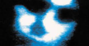 Como fazer um BBB inesquecível images 5 | Textos | BBB, horror, sinistro, Textos
