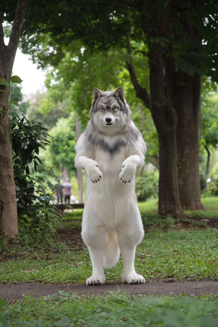 Sujeito que sempre sonhou em ser um lobo gasta uma fortuna para se transformar wolf costume2 | Curiosidades | curioso, fantasia, japão, lobo