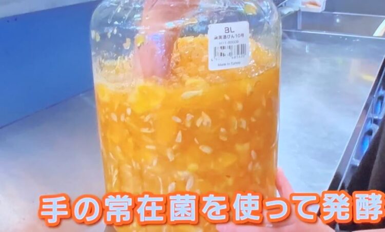 Nojento: Bebida fermentada servida aos hóspedes era feita com bactérias de mãos sujas hand fermentation3 | Curiosidades | bizarro, curiosidades, nojento