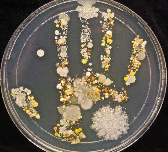 Nojento: Bebida fermentada servida aos hóspedes era feita com bactérias de mãos sujas hand print | Curiosidades | bizarro, curiosidades, nojento