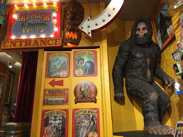 A estranha história do homem que matou o Pé Grande image 1 | Curiosidades | bigfoot, bizarro, incrível, pe grande, polêmica
