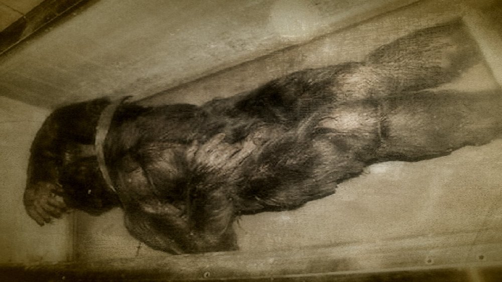A estranha história do homem que matou o Pé Grande minnesotaiceman | Curiosidades | bigfoot, bizarro, incrível, pe grande, polêmica