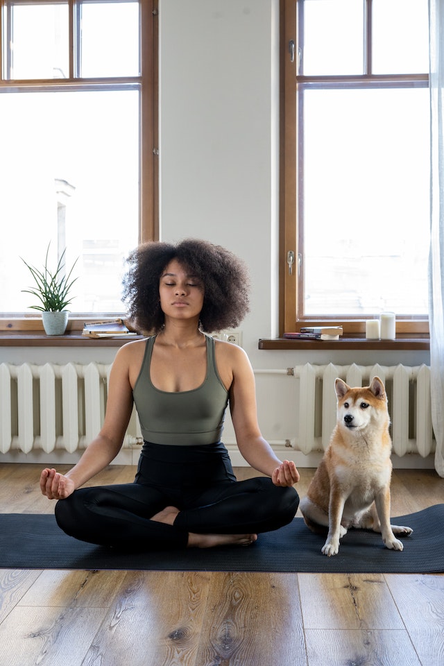 Desânimo: Como Superar e Encontrar Novas Fontes de Energia pexels cottonbro studio 4056529 | Dicas | Autocuidado e bem-estar emocional, Crescimento pessoal e inspiração, desânimo, dia-a-dia, dicas, Dicas para restaurar a vitalidade, Encontrar fontes de energia, Estratégias para enfrentar o desânimo, Estratégias para lidar com momentos difíceis, Motivação pessoal, psicologia, Redescobrindo o propósito de vida, Superar desânimo
