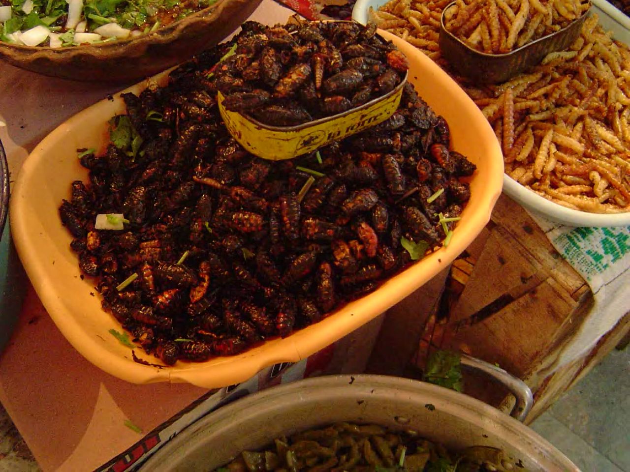 caviar mexicano comida nojenta de insetos