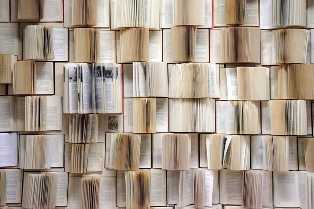 Nossos livros book wall 1151405 640 | |