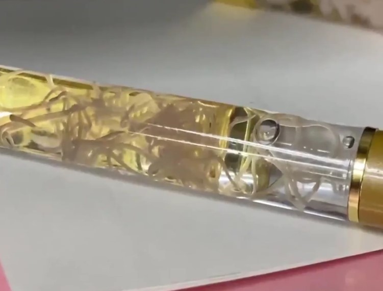 Caneta com parasita dentro Caneta com parasita dentro