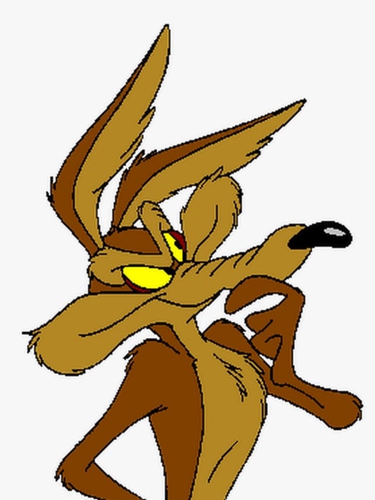 O Coiote se ferrou mais uma vez! coiote versus acme