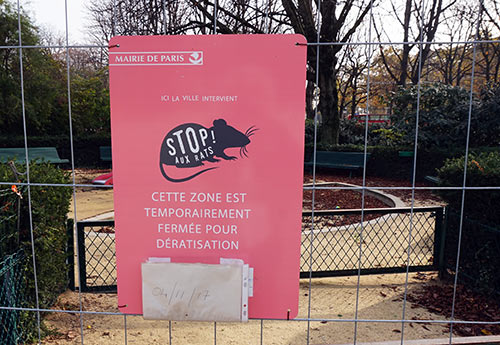 Parques fechados por infestação descontrolada de ratos em Paris Parques fechados por infestação descontrolada de ratos em Paris