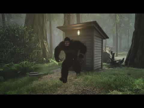 Novas filmagens impressionantes do Bigfoot chocam a internet 0 | Polêmica | bigfoot, curioso, estranho, monstro, pe grande, polêmica, sasquatch