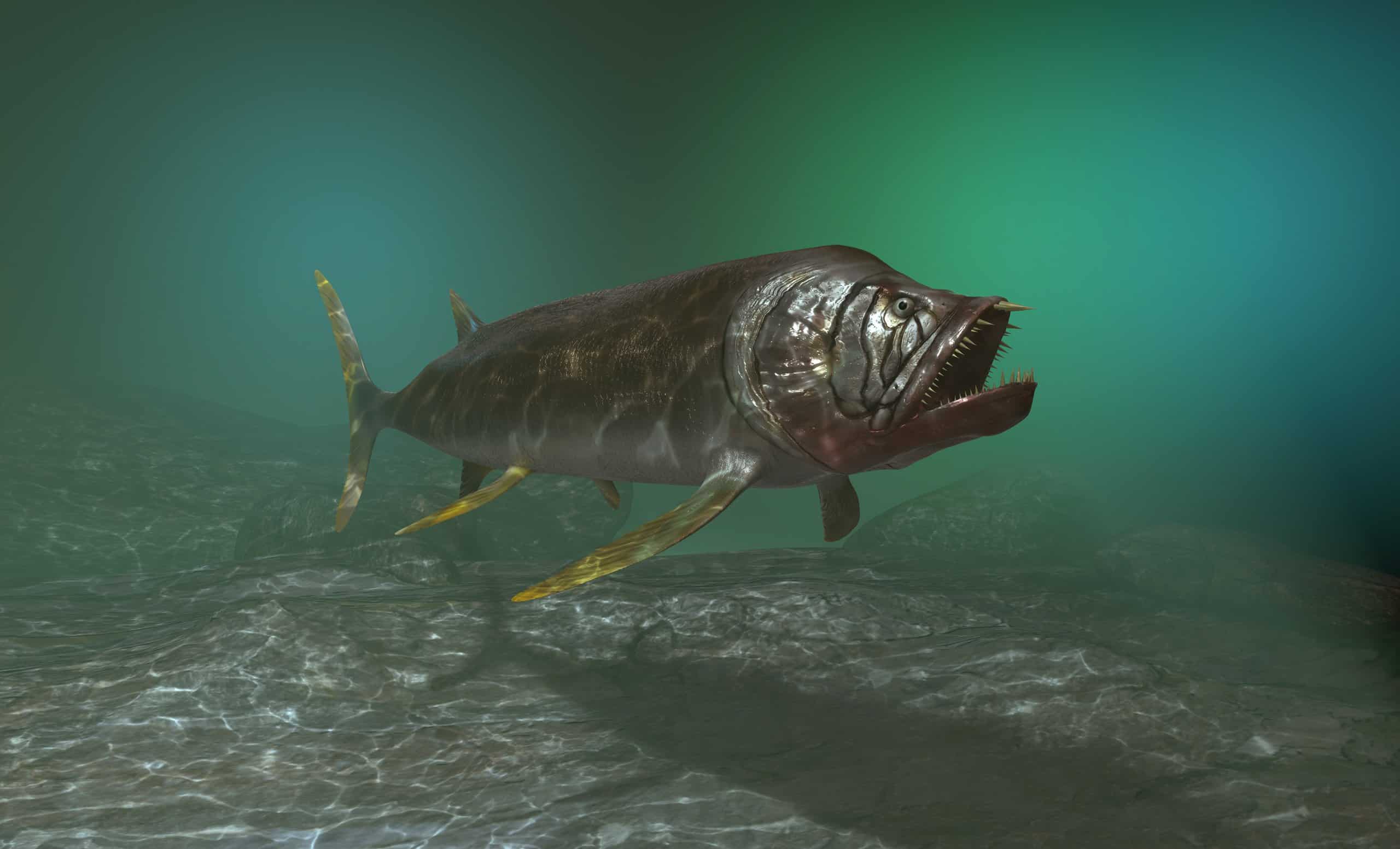 peixe pré-histórico peixe pré-histórico