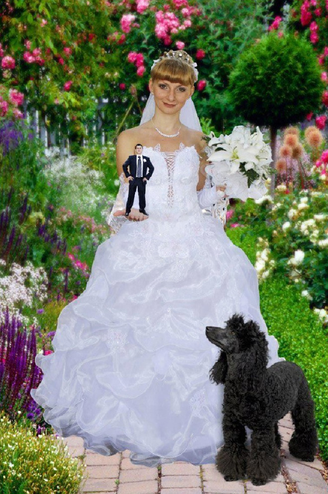 As piores ideias para fotos de casamento russian wedding pics17 | Curiosidades | bizarro, casamento, fail, fotos, humor, ridículo, russia