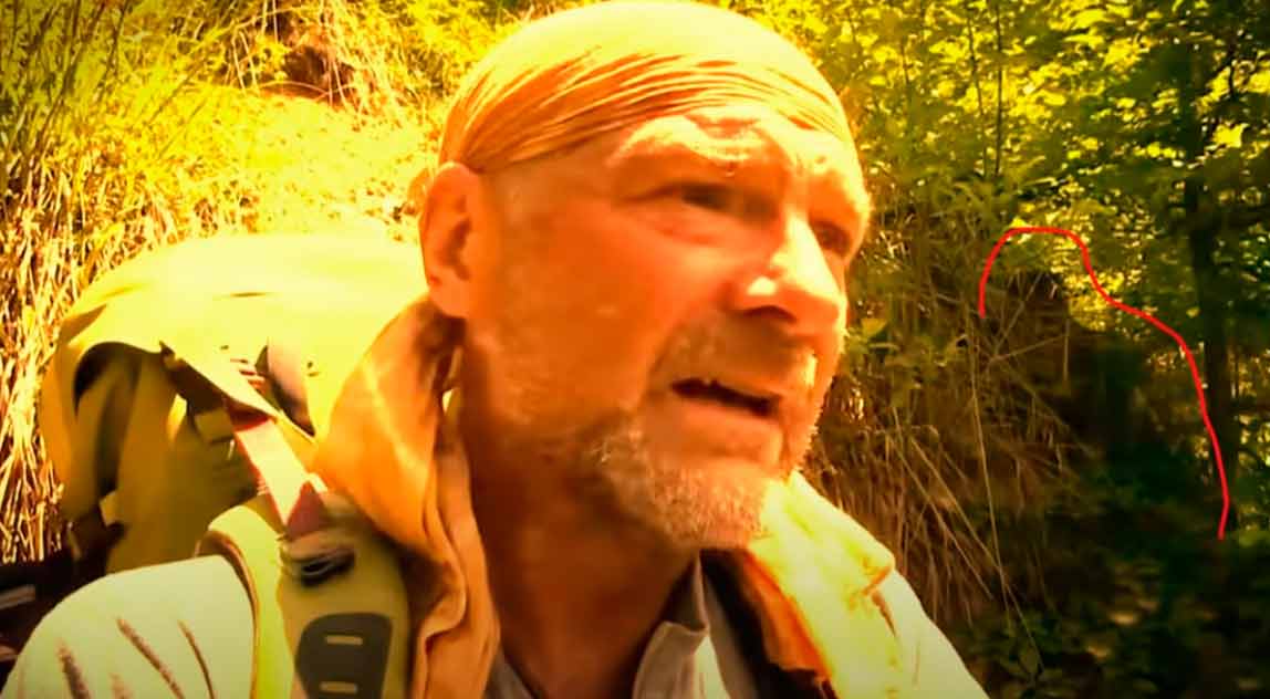 Novas filmagens impressionantes do Bigfoot chocam a internet sasquatchromania | Polêmica | bigfoot, curioso, estranho, monstro, pe grande, polêmica, sasquatch