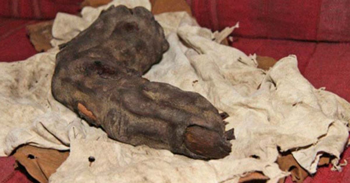 O mistério do dedo gigante Relic of Bir Hooker 1 | Bizarro | bizarro, dedo, egito, estranho, gigante, mistério, tumulos