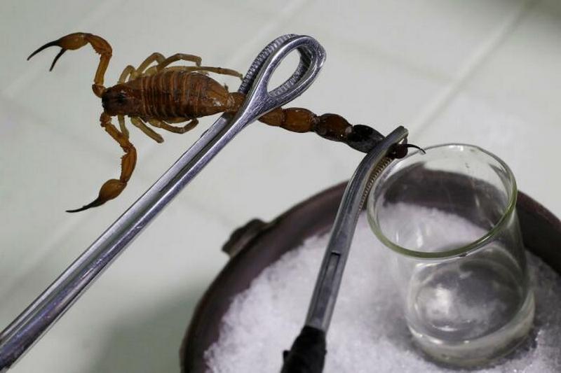 10 líquidos incrivelmente caros 124484691 original | Curiosidades | bizarro, curioso, dinheiro, liquidos