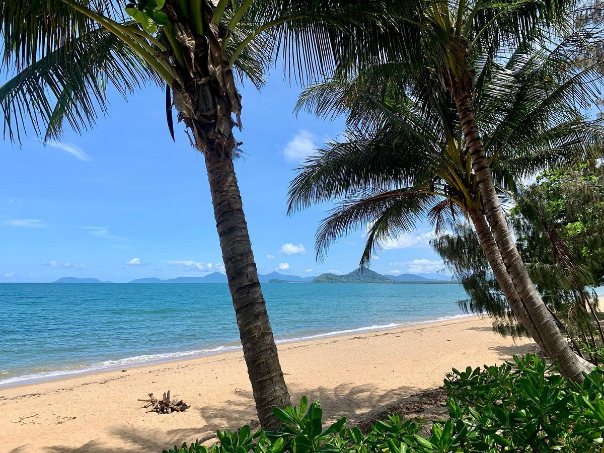 Palm Cove Beach: Conheça a melhor praia do mundo eleita em 2024 141892134 original | Curiosidades | Brasil, curiosidades, incrível, lugares, praia, praias