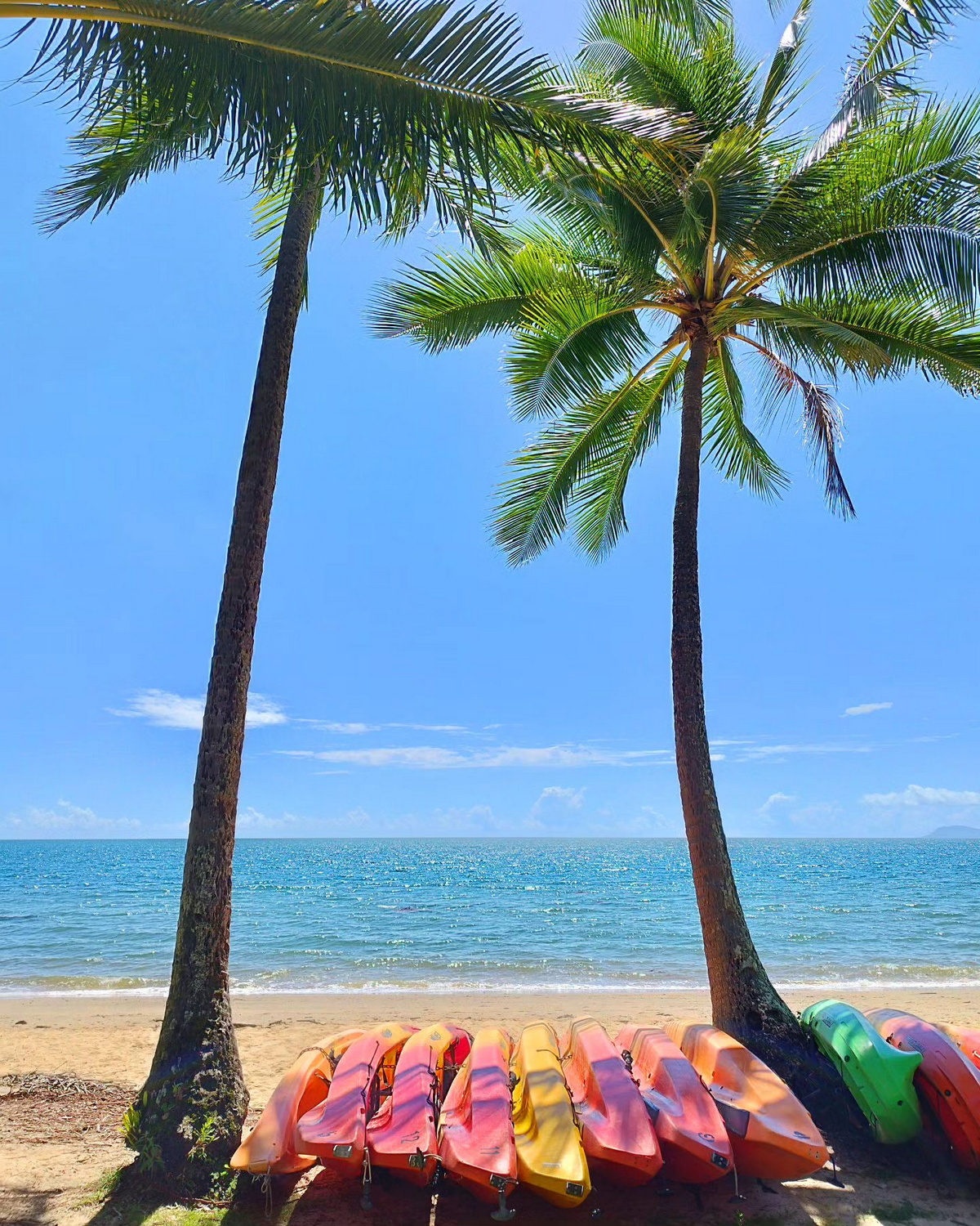 Palm Cove Beach: Conheça a melhor praia do mundo eleita em 2024 141892554 original | Curiosidades | Brasil, curiosidades, incrível, lugares, praia, praias