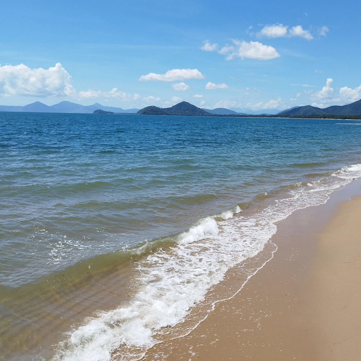 Palm Cove Beach: Conheça a melhor praia do mundo eleita em 2024 141892861 original | Curiosidades | Brasil, curiosidades, incrível, lugares, praia, praias