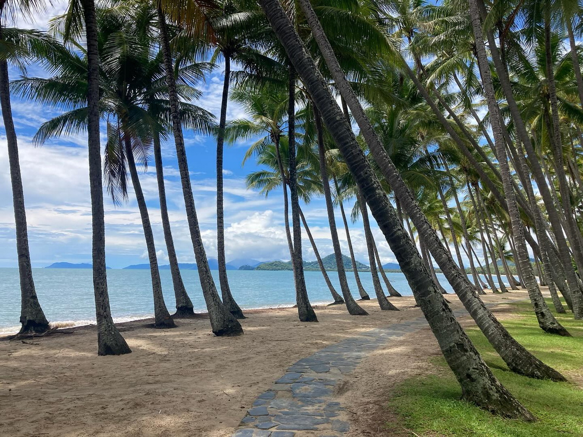 Palm Cove Beach: Conheça a melhor praia do mundo eleita em 2024 141893107 original | Curiosidades | Brasil, curiosidades, incrível, lugares, praia, praias