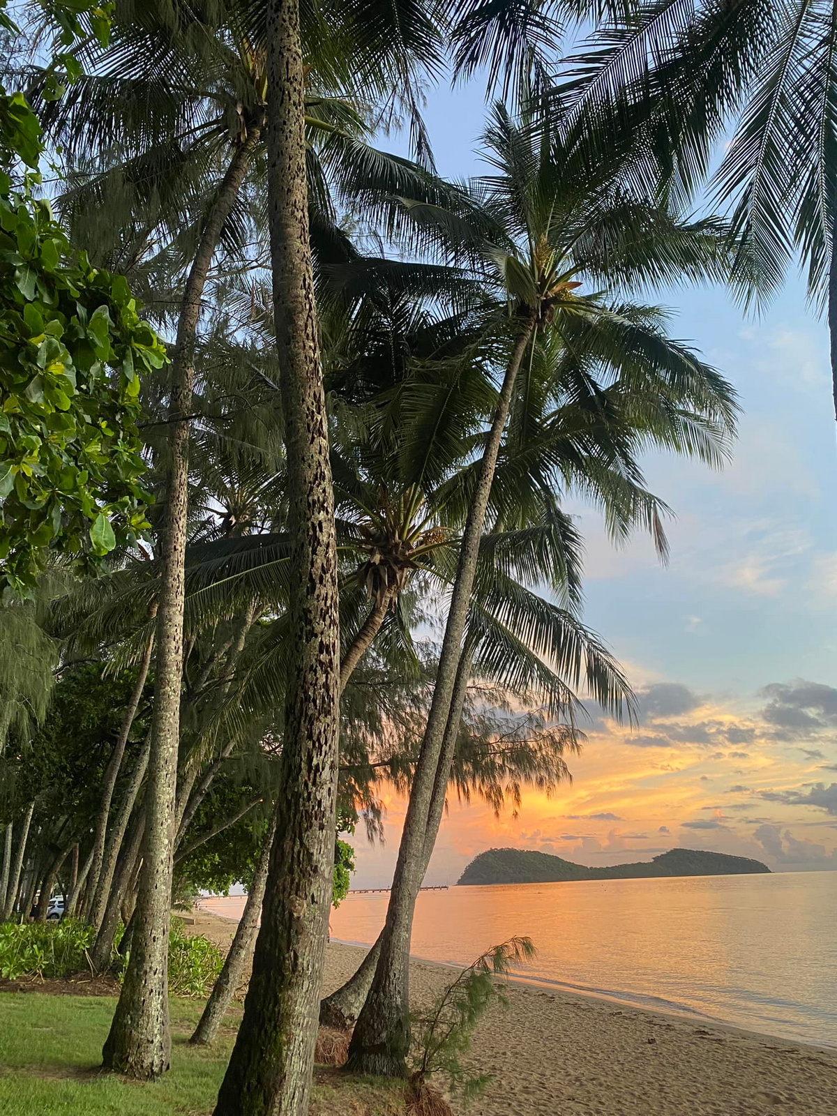 Palm Cove Beach: Conheça a melhor praia do mundo eleita em 2024 141893620 original | Curiosidades | Brasil, curiosidades, incrível, lugares, praia, praias