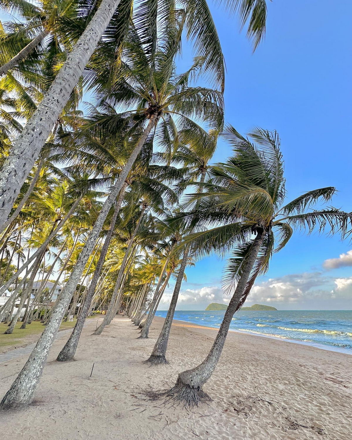 Palm Cove Beach: Conheça a melhor praia do mundo eleita em 2024 141894021 original | Curiosidades | Brasil, curiosidades, incrível, lugares, praia, praias
