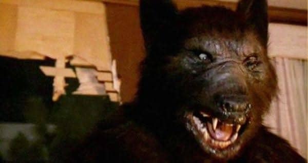 Os melhores filmes de lobisomens 408949887 7262741850482775 7440857399663274678 n | Curiosidades | curiosidades, dicas, filmes, listas
