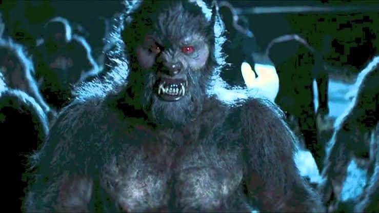 Os melhores filmes de lobisomens 429685056 7262739790482981 23204545311194446 n | Curiosidades | curiosidades, dicas, filmes, listas