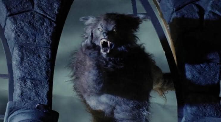 Os melhores filmes de lobisomens 429687208 7262742787149348 4347870505651713472 n | Curiosidades | curiosidades, dicas, filmes, listas