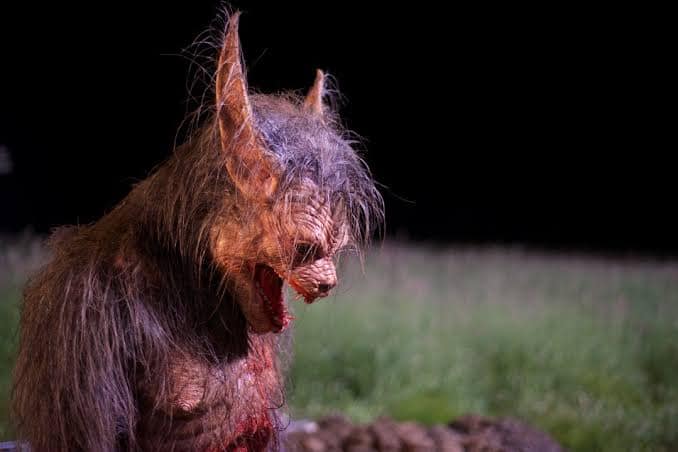 Os melhores filmes de lobisomens 429809256 7262740253816268 7921191647225282555 n | Curiosidades | curiosidades, dicas, filmes, listas