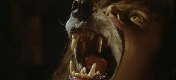 Os melhores filmes de lobisomens 429872240 7262744313815862 7150919125040002881 n | Curiosidades | curiosidades, dicas, filmes, listas