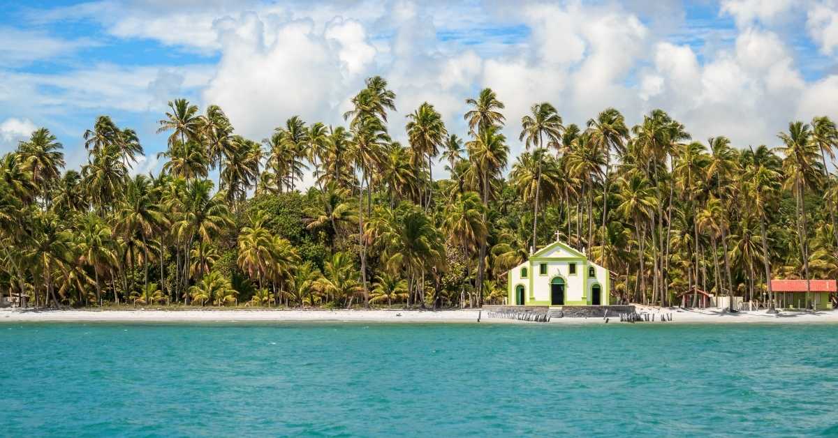 Palm Cove Beach: Conheça a melhor praia do mundo eleita em 2024 fb carneiros | Curiosidades | Brasil, curiosidades, incrível, lugares, praia, praias