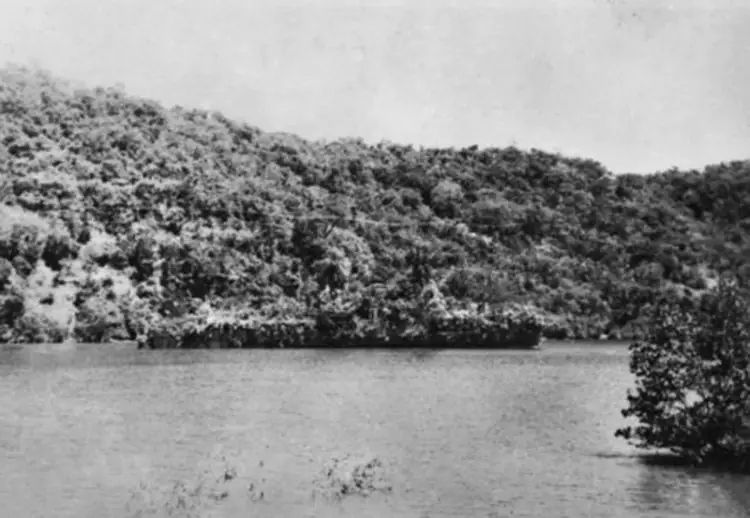 O navio que se disfarçou de ilha para não ser afundado jung.jpg | Curiosidades | guerra, navio, segunda guerra mundial, truque