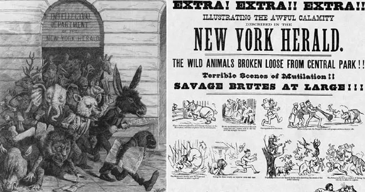 Algumas das afirmações mais estranhas newyork times.jpg | Bizarro | afirmações, bizarro, casos, estranho, incrível, maluco