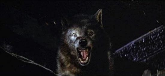 Os melhores filmes de lobisomens wolfen inline | Curiosidades | curiosidades, dicas, filmes, listas