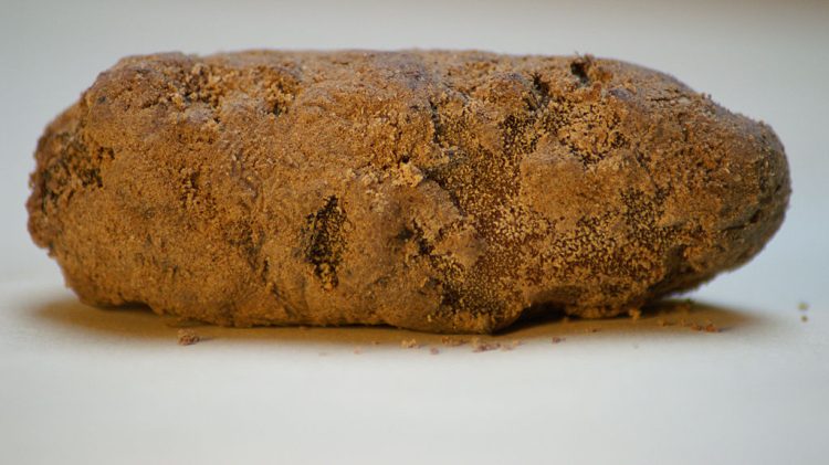 Milbenkäse, o queijo mais nauseabundo da Alemanha Milbenkase2 750x421 1 | Bizarro | bizarro, comida, nojenta, queijo