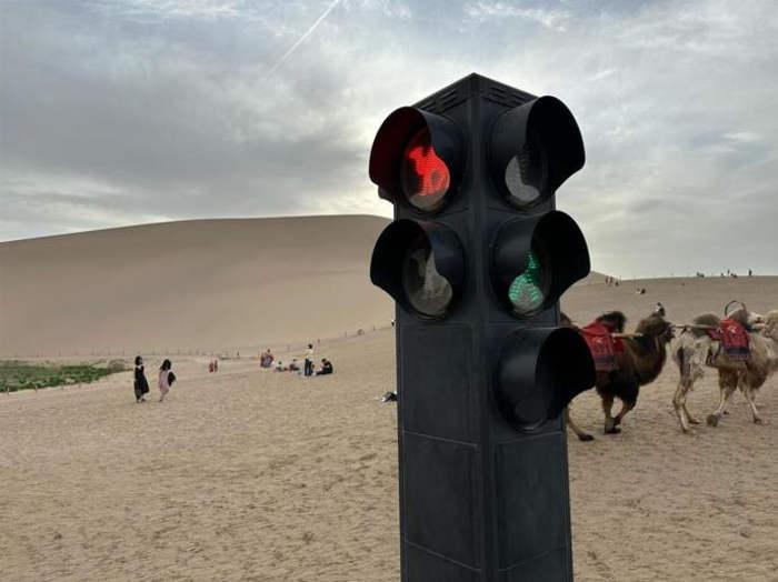 Sinal de trânsito para... camelos camel traffic lights3 | Animais | bizarro, camelô, china, curioso, deserto, lugares