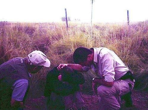 O caso da abdução de um policial (fotos reais) 16339457 | Polêmica | abdução, aliens, argentina, estranho, polêmica, policial, sequestro
