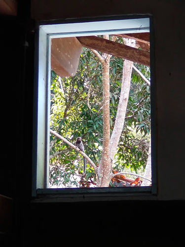Fim do meu estúdio - Mais um ciclo se fecha macaquim | Textos | atelier, mundo gump, Textos