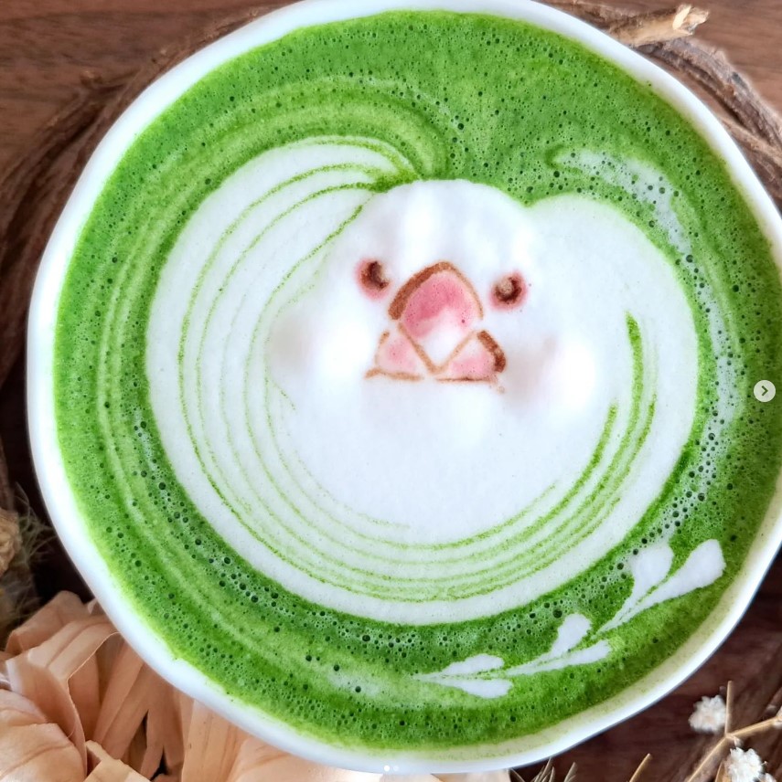 A barista que faz passarinhos em xícaras de café Captura de tela 2024 10 29 084850 | Curiosidades | Arte, café, curioso, japão, latter, passaros