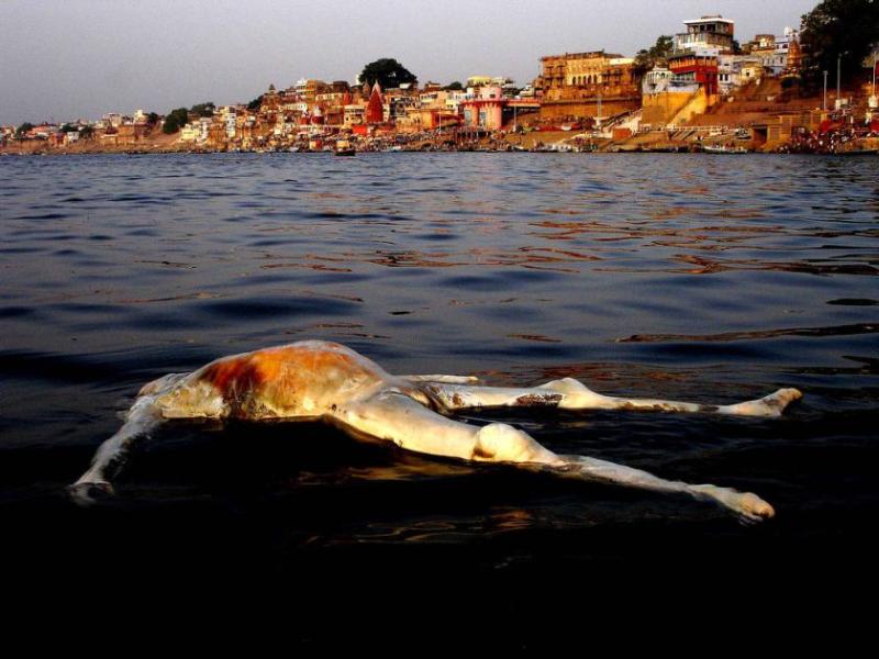 Mulher pede divórcio após 40 dias de casada: "Ele era muito porco!" The floating corpse | Bizarro | banho, índia, indiano, nojento, sujeira, sujo