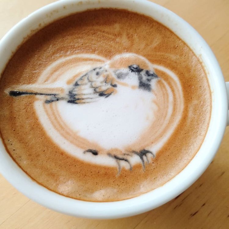 A barista que faz passarinhos em xícaras de café coffee bird portraits | Curiosidades | Arte, café, curioso, japão, latter, passaros