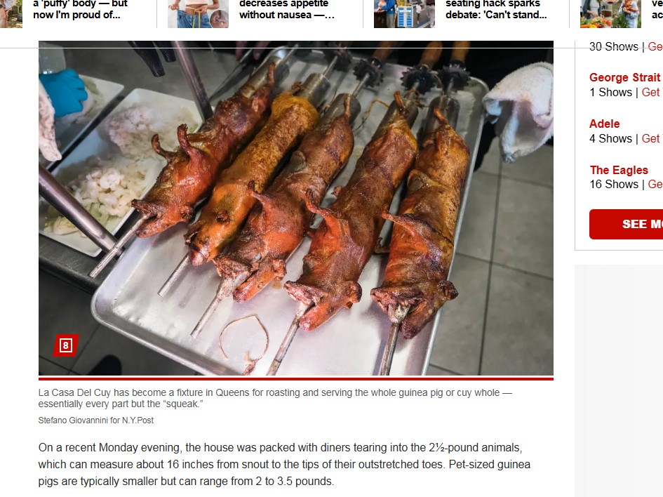 Restaurante especializado em servir porquinho da Índia choca o mundo porquinho da índia no espeto
