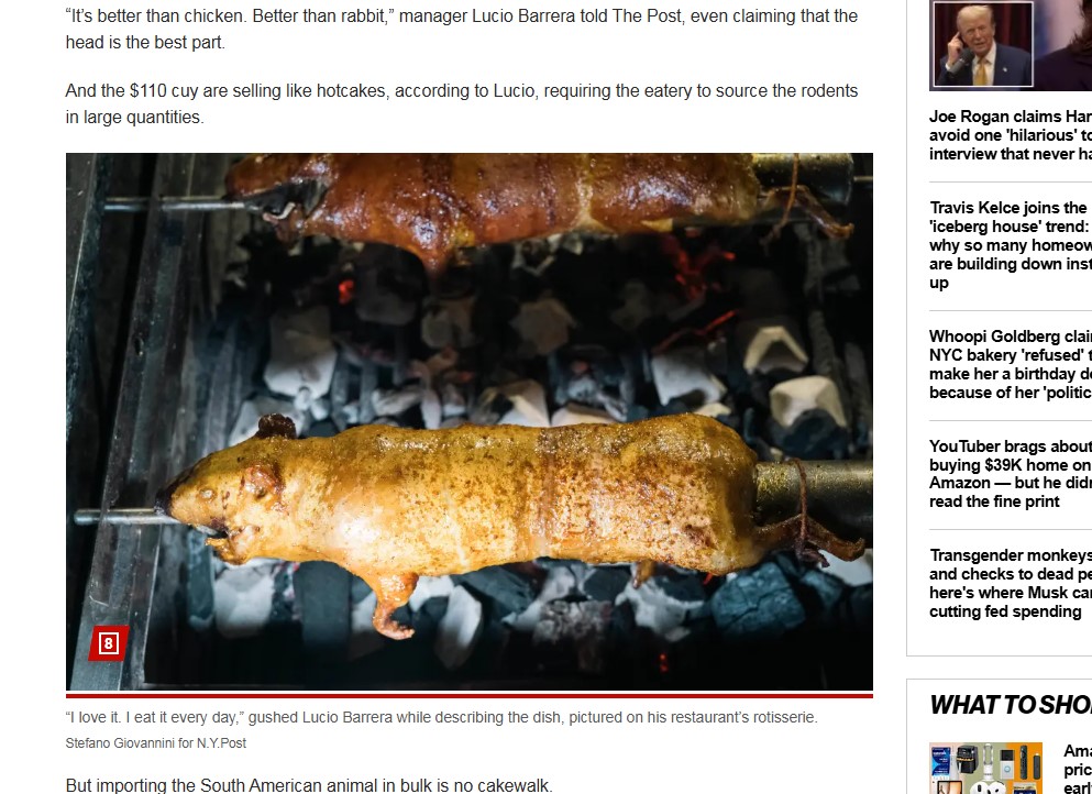 Restaurante especializado em servir porquinho da Índia choca o mundo porquinho da índia na brasa