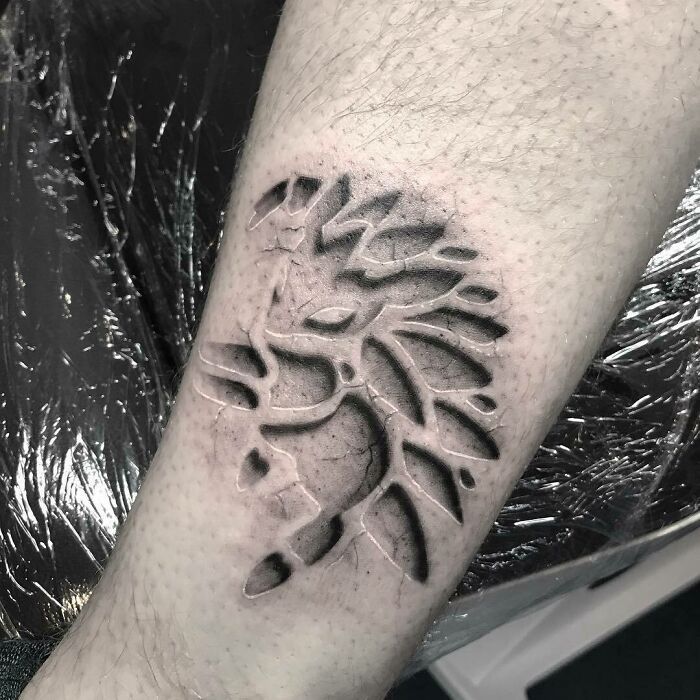 57 Tatuagens 3d que me impressionaram 02c72c9ad0a5bb6be6cc25bcd2f108e5 | Incrível | cuidados pré-tatuagem, preparação para tatuagem, segurança em tatuagens, tatoo, tatuagem 3d, tatuagens 3D