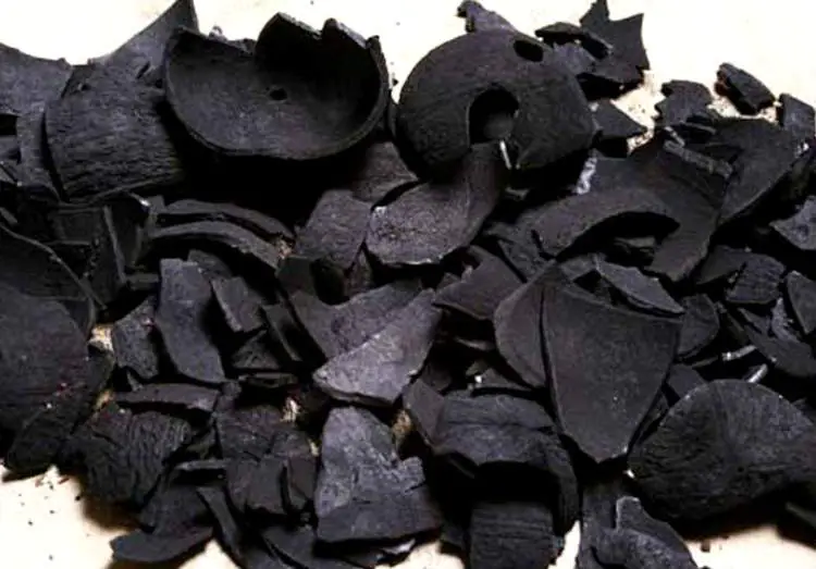 Sorvete preto Coco torrado para virar carvão ativado