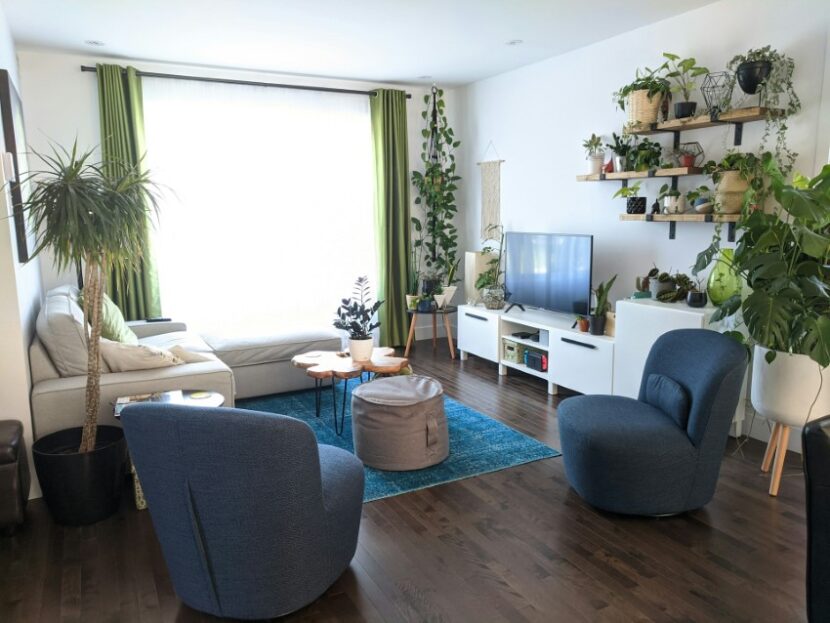 Luxo e conforto na decoração: Como elevar sua casa houseplants living room 830x623 1 | Dicas | ambiente, arquitetura, casa, decoração, dicas